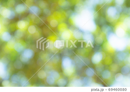 natural green bokeh abstract background,blurred textured natural green bokeh abstract background,blurred textured 69460080