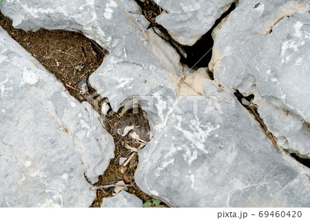 Closeup rock pattern with hole in nature Closeup rock pattern with hole in nature 69460420