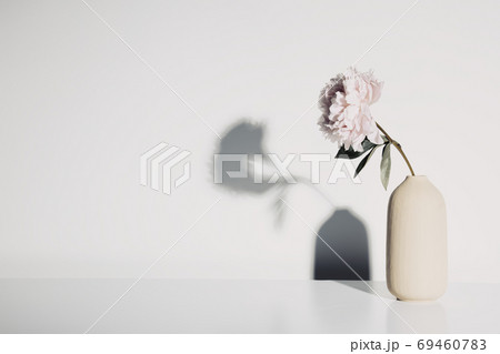 Vase with beautiful peony flower against white wall Vase with beautiful peony flower against white wall 69460783