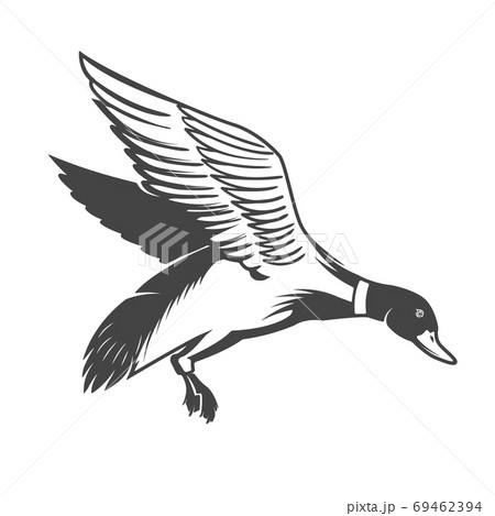 Wild duck icon isolated on white background. Design elements for logo, label, emblem, sign. Vector illustration 69462394