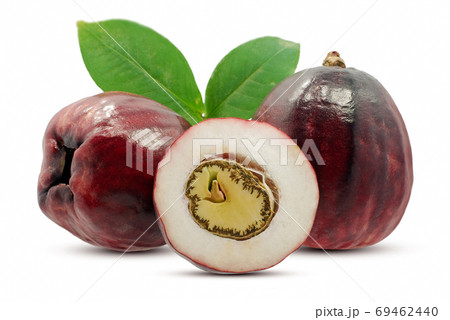 Malay apple fruit isolated on white background Malay apple fruit isolated on white background 69462440
