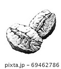 Coffee beans. Hand-drawn black and white illustration. Jpeg only 69462786