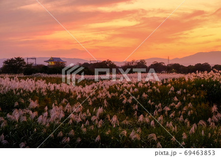 朱雀門とススキの夕景（奈良市法華寺町） 69463853