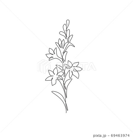 One continuous line drawing beauty fresh polianthes tuberosa for home decor art wall poster print 69463974