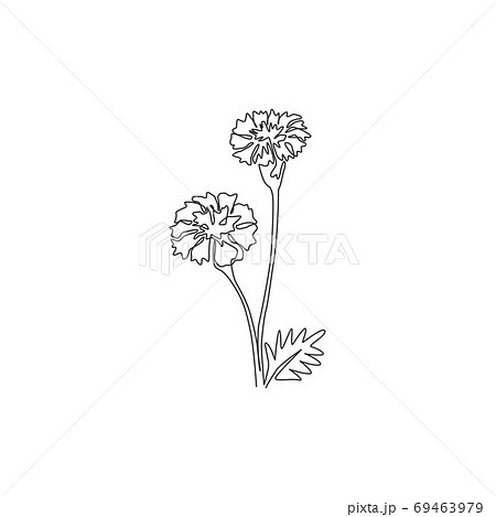 Single continuous line drawing of beauty fresh tagetes erecta for home decor wall art poster print 69463979