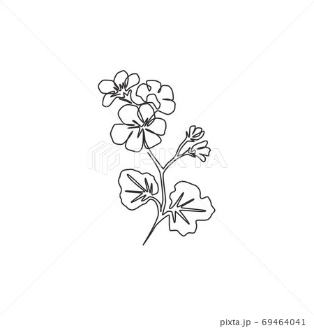 モノクロ原画 花❁❀✿✾ One continuous line drawing beauty freshのイラスト素材