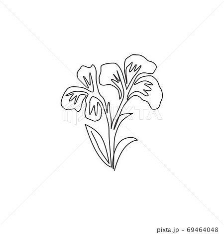 Single continuous line drawing of beauty fresh canna for garden logo 69464048