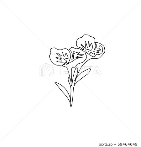 One Single Line Drawing Of Beauty Fresh Canna Stock Illustration