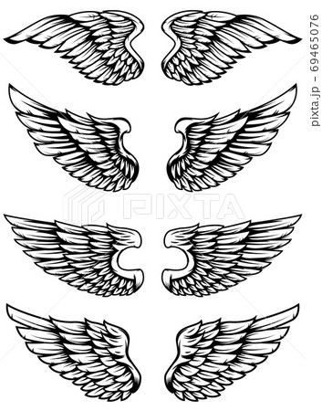 Set of bird wings isolated on white background. 69465076