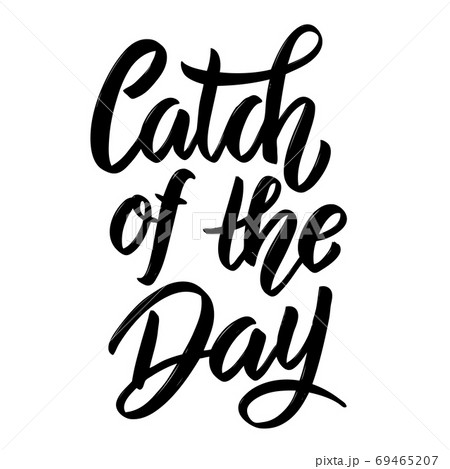Catch of the day. Hand drawn lettering phrase isolated on white background. Catch of the day. Hand drawn lettering phrase isolated on white background. 69465207