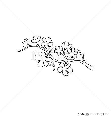 One continuous line drawing of beauty fresh cherry blossom for garden logo One continuous line drawing of beauty fresh cherry blossom for garden logo 69467136