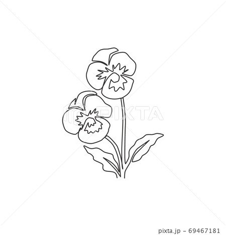 One continuous line drawing beauty fresh violet hybrid plant for home art wall decor print poster One continuous line drawing beauty fresh violet hybrid plant for home art wall decor print poster 69467181