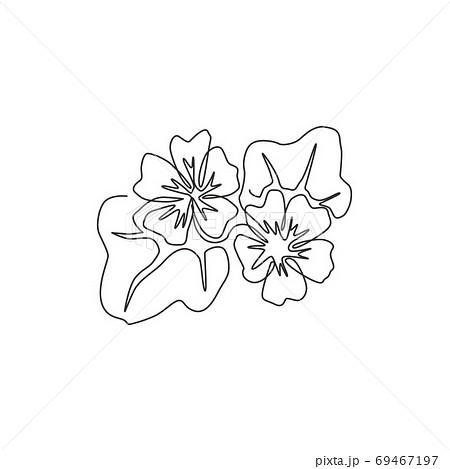 One Continuous Line Drawing Beauty Fresh Purple Stock Illustration