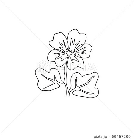 One continuous line drawing beauty fresh purple mallow for wall home decor poster art One continuous line drawing beauty fresh purple mallow for wall home decor poster art 69467200
