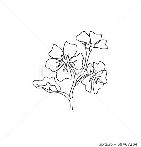Single continuous line drawing beauty fresh purple mallow for home decor wall art poster. 69467204