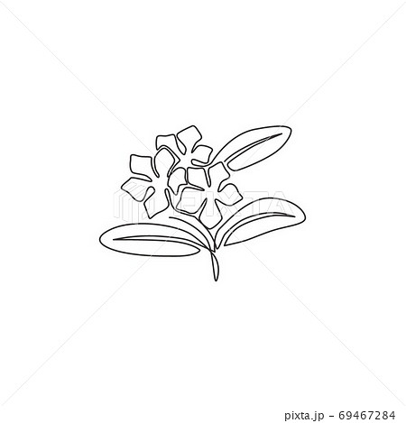 Single Continuous Line Drawing Of Beauty Fresh Stock Illustration