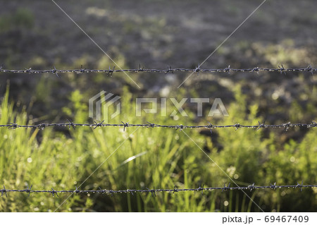 Barbed wire fence with raindrops on it in the morning. 69467409