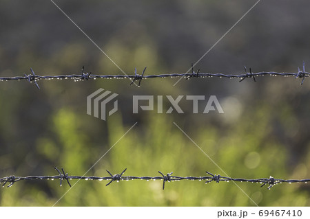 Barbed wire fence with raindrops on it in the morning. 69467410