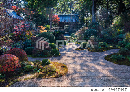 （静岡県）龍潭寺（りょうたんじ）　境内　紅葉 69467447