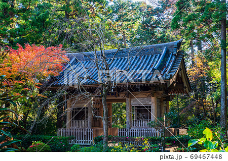 (静岡県)龍潭寺(りょうたんじ) 境内 紅葉 (静岡県)龍潭寺(りょうたんじ) 境内 紅葉 69467448