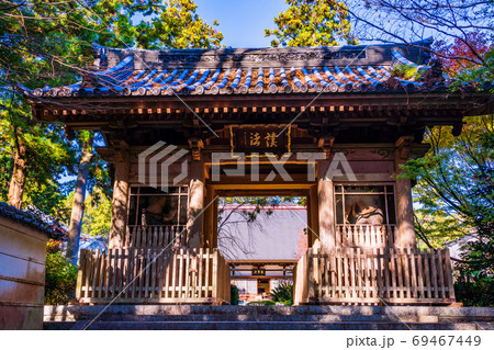 (静岡県)龍潭寺(りょうたんじ) 境内 紅葉 (静岡県)龍潭寺(りょうたんじ) 境内 紅葉 69467449