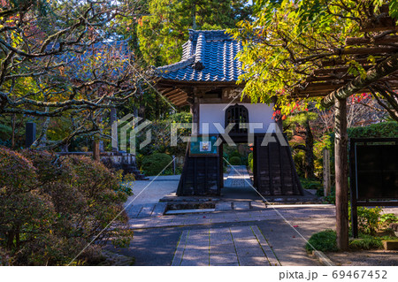 (静岡県)龍潭寺(りょうたんじ) 境内 紅葉 (静岡県)龍潭寺(りょうたんじ) 境内 紅葉 69467452