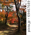 秋紅葉の小道 69467689