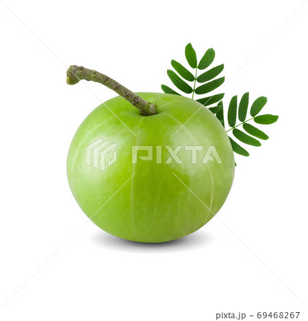 Indian gooseberry isolated on white background Indian gooseberry isolated on white background 69468267