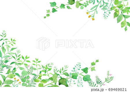 グリーンの草花の2隅装飾フレーム 水彩イラストのトレースベクター のイラスト素材