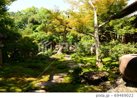 真夏の庭園と苔 69469022