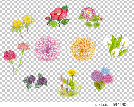 各種花套裝 69469063