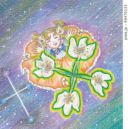 南十字星とサザンクロスの花と女の子のイラスト素材