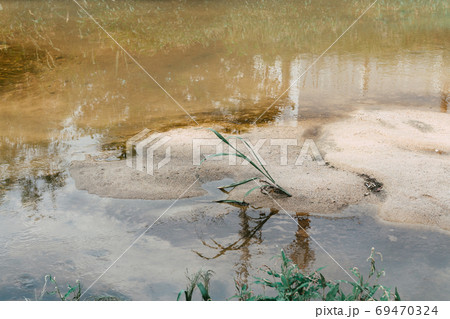 反射 池 反影 69470324