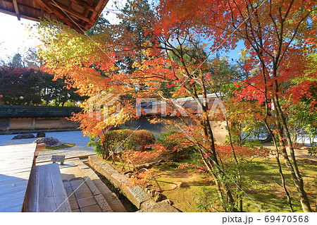 【京都府】龍安寺の紅葉 69470568