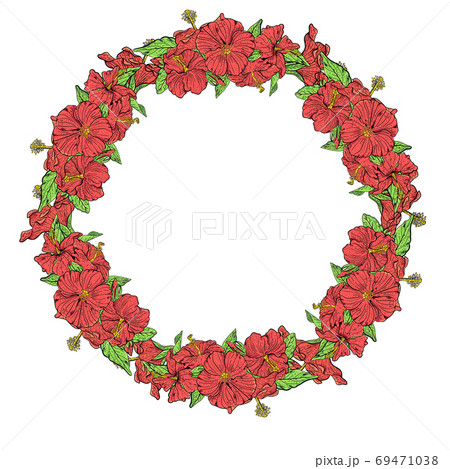 Frame with hibiscus flowers in vector Frame with hibiscus flowers in vector 69471038