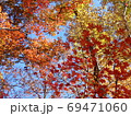 紅葉と青空のイメージ・横 69471060