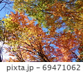 青空と紅葉 69471062