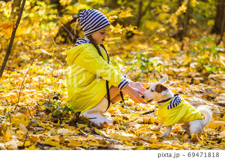 Child plays with Jack Russell Terrier in autumn forest. Autumn walk with a dog, children and pet concept. 69471818