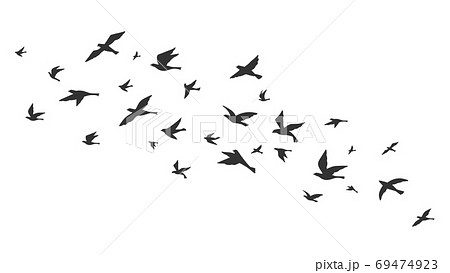 Flying bird. Free birds flock in flight black silhouettes. Tattoo image, freedom symbol wildlife vector illustration Flying bird. Free birds flock in flight black silhouettes. Tattoo image, freedom symbol wildlife vector illustration 69474923