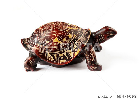 turtle on a white background 69476098