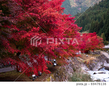 原不動滝公園の紅葉(兵庫県) 原不動滝公園の紅葉(兵庫県) 69476136