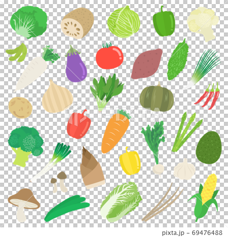 野菜のイラストセット 野菜のイラストセット 69476488
