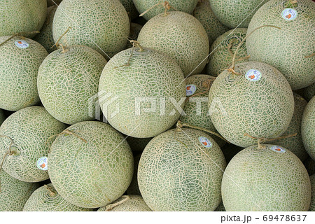 KUALA LUMPUR, MALAYSIA -NOVEMBER 01, 2017: A pile of cantaloupe or rockmelon fruit or the scientific name is Cucumis melo var. cantaloupe. KUALA LUMPUR, MALAYSIA -NOVEMBER 01, 2017: A pile of cantaloupe or rockmelon fruit or the scientific name is Cucumis melo var. cantaloupe. 69478637