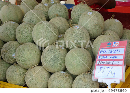 KUALA LUMPUR, MALAYSIA -NOVEMBER 01, 2017: A pile of cantaloupe or rockmelon fruit or the scientific name is Cucumis melo var. cantaloupe. KUALA LUMPUR, MALAYSIA -NOVEMBER 01, 2017: A pile of cantaloupe or rockmelon fruit or the scientific name is Cucumis melo var. cantaloupe. 69478640