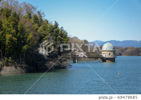 桜咲く多摩湖　湖面に浮かぶ第二取水塔と背景の山々 69479685