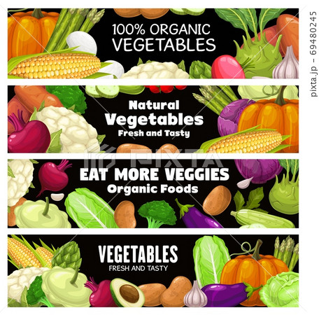 Vegetables vector banners, cartoon raw veggies 69480245