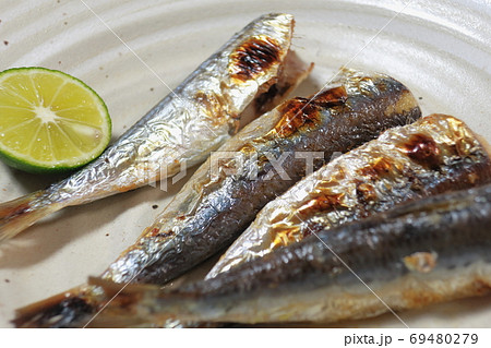 家庭的で素朴な自宅調理の「イワシの塩焼き」 69480279