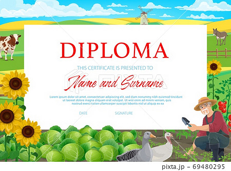 School or kindergarten diploma, farmer on field School or kindergarten diploma, farmer on field 69480295
