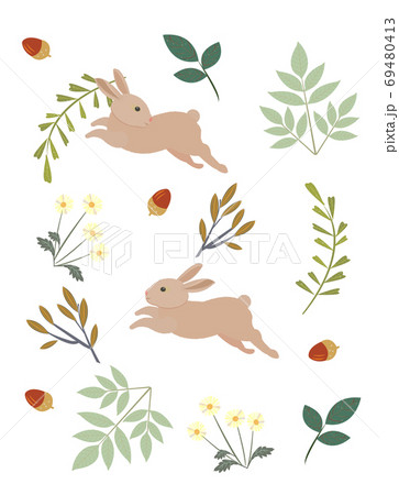 ウサギと葉っぱのイラスト素材