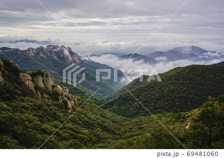 霊岩郡 月出山 景色 69481060